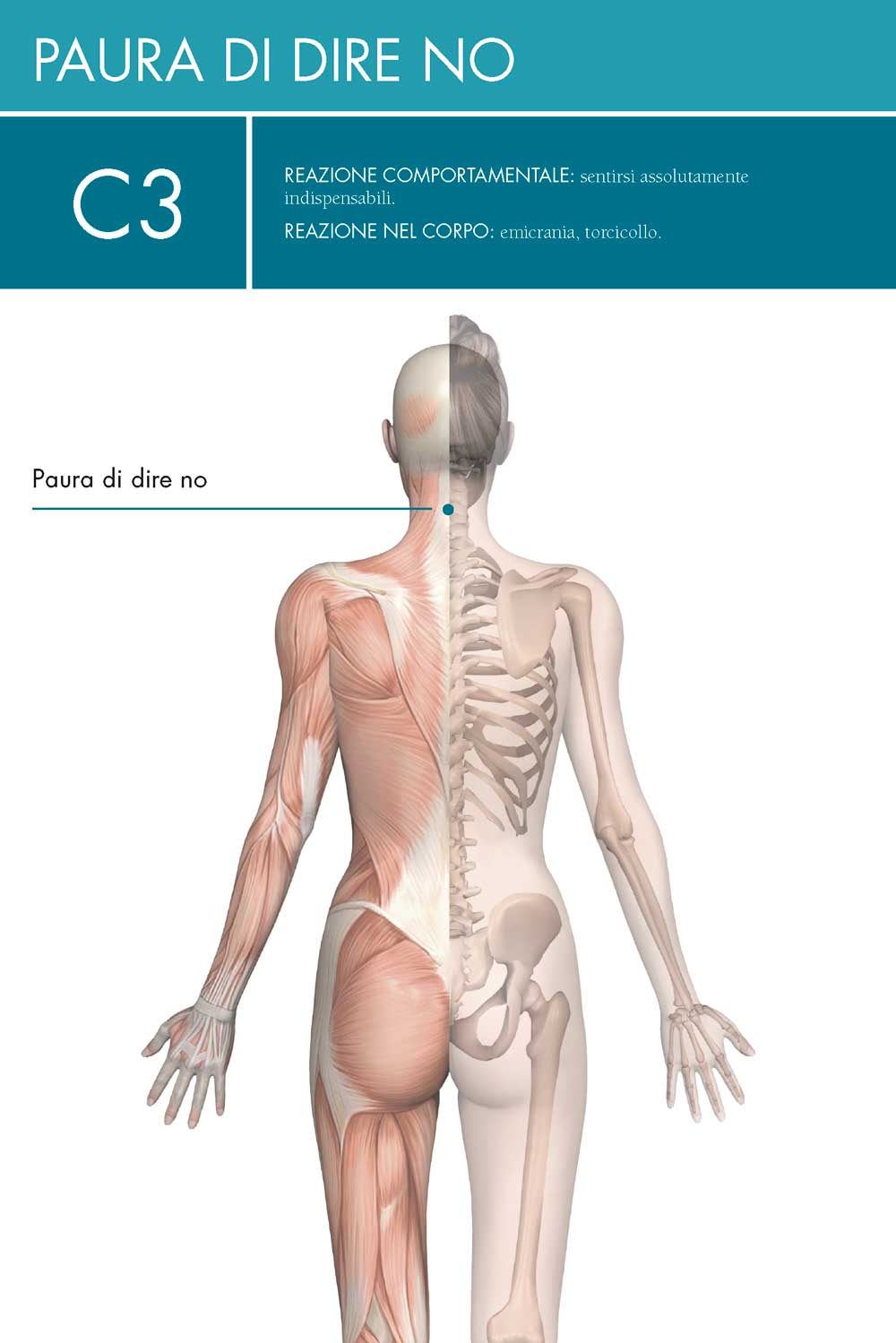 Il Linguaggio Emozionale del Corpo