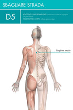 Carica l&#39;immagine nel visualizzatore di Gallery, Il Linguaggio Emozionale del Corpo
