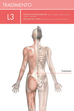 Carica l&#39;immagine nel visualizzatore di Gallery, Il Linguaggio Emozionale del Corpo
