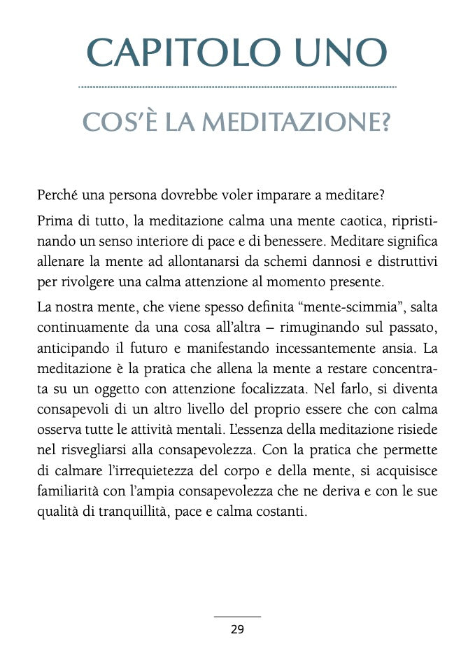 Il Piccolo Libro della Meditazione