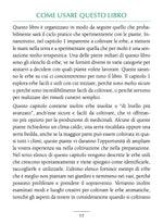 Carica l&#39;immagine nel visualizzatore di Gallery, Il Piccolo Libro delle Erbe
