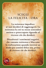 Carica l&#39;immagine nel visualizzatore di Gallery, The Secret - Carte della Manifestazione
