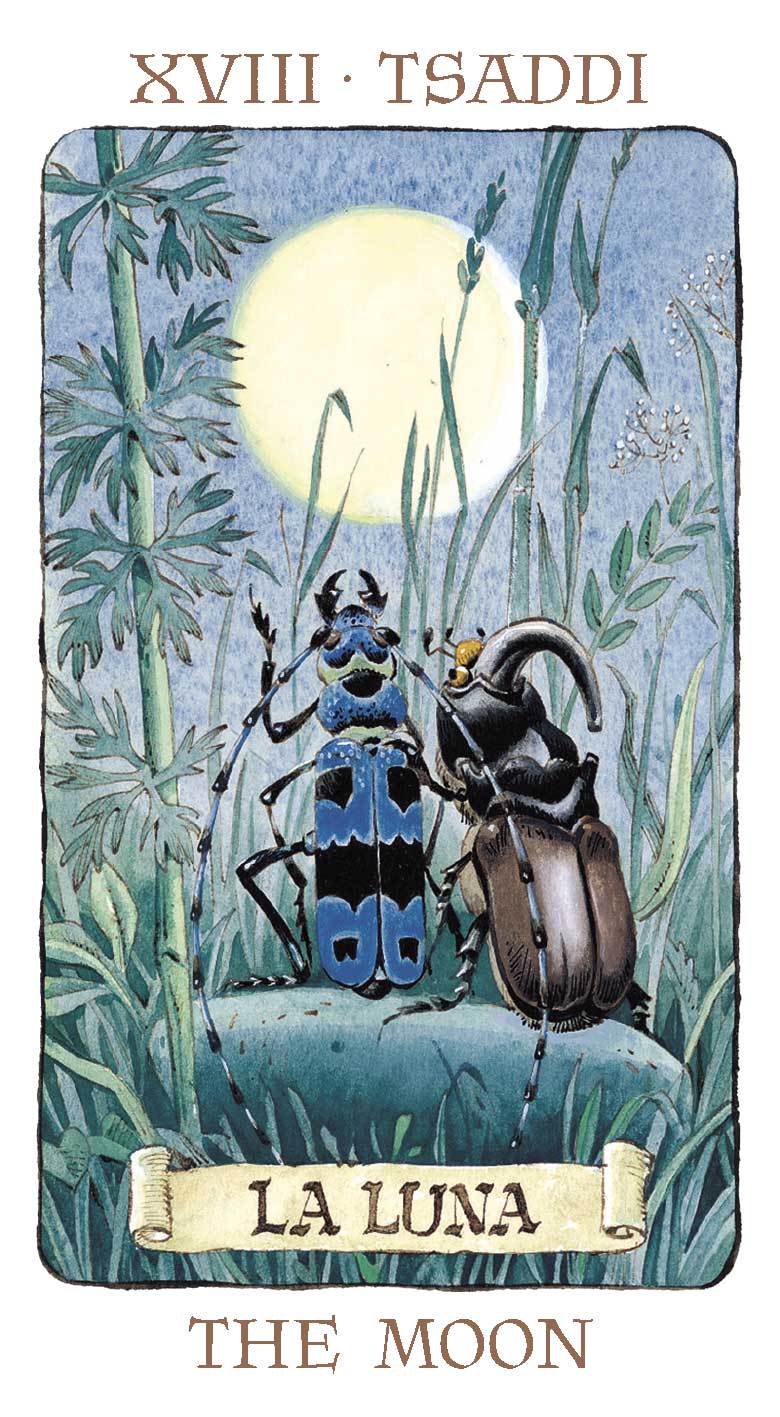 Tarot of the Gnomes