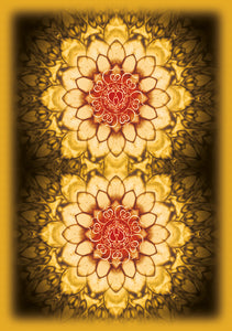 Karma Angels Oracle