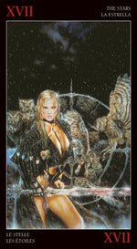 Carica l&#39;immagine nel visualizzatore di Gallery, Royo Dark Tarot

