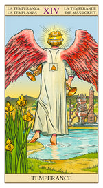 Carica l&#39;immagine nel visualizzatore di Gallery, Tarot of the New Vision Kit
