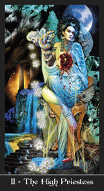 Carica l&#39;immagine nel visualizzatore di Gallery, Apokalypsis Tarot
