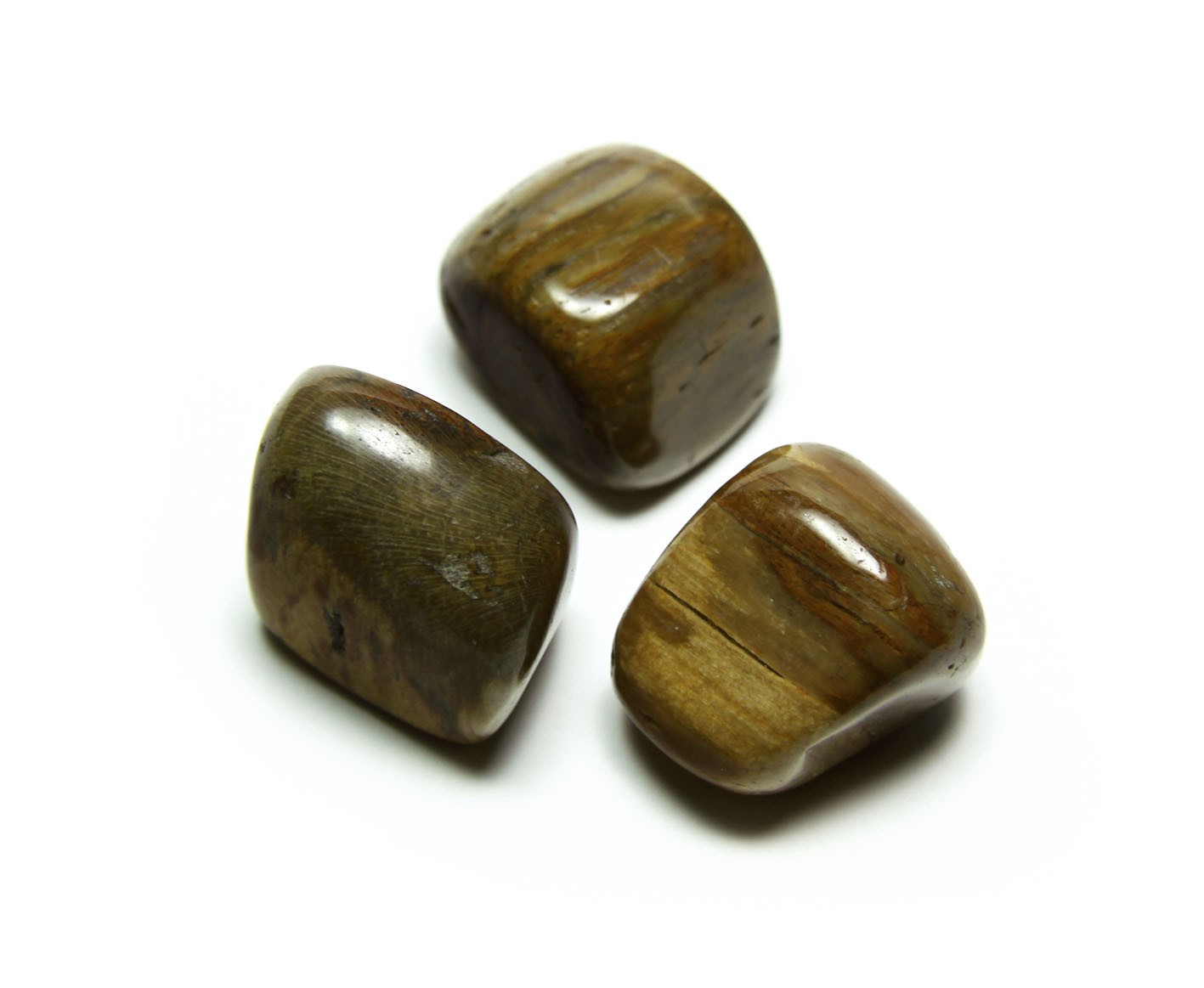 Legno Fossile - Cristalli Burattati