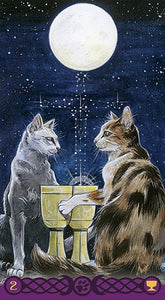 Tarocchi dei Gatti Pagani