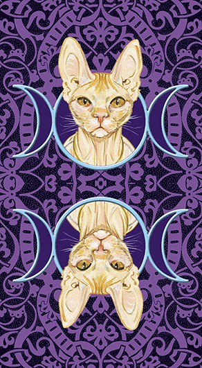 Tarocchi dei Gatti Pagani