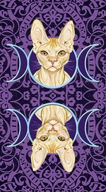 Carica l&#39;immagine nel visualizzatore di Gallery, Tarocchi dei Gatti Pagani
