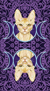 Tarocchi dei Gatti Pagani