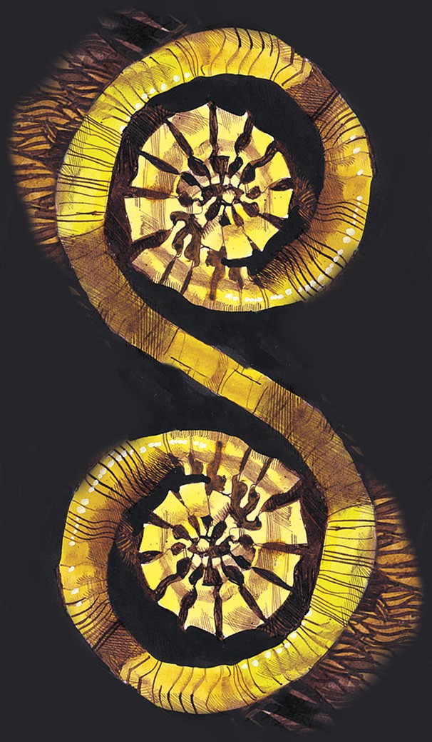Primordial Tarot
