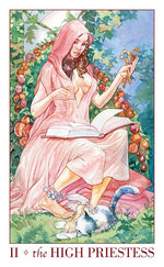 Carica l&#39;immagine nel visualizzatore di Gallery, Mini Sexual Magic Tarot
