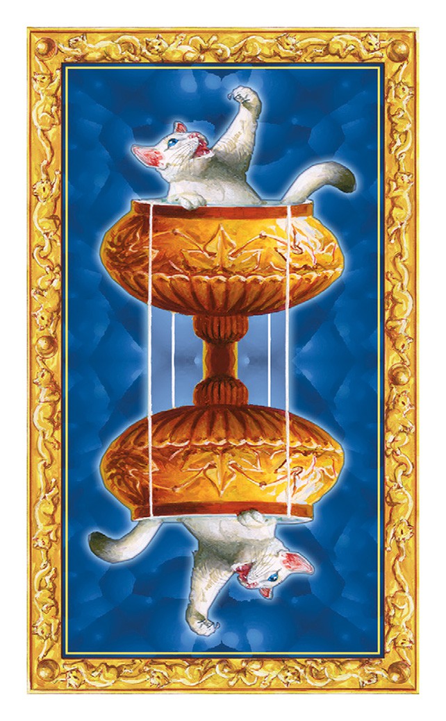Mini White Cats Tarot