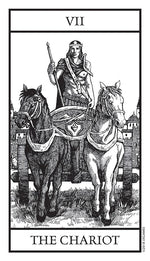 Carica l&#39;immagine nel visualizzatore di Gallery, Bianco Nero Tarot
