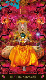 Carica l&#39;immagine nel visualizzatore di Gallery, Starman Tarot
