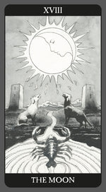 Carica l&#39;immagine nel visualizzatore di Gallery, Dark Side of Tarot
