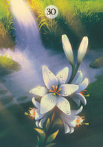 Carica l&#39;immagine nel visualizzatore di Gallery, Herbs &amp; Plants Lenormand Oracle Cards
