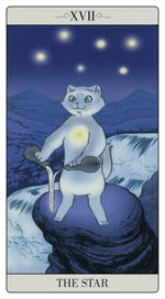 Carica l&#39;immagine nel visualizzatore di Gallery, Come Jodorowsky spiegò i Tarocchi al suo Gatto
