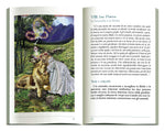 Carica l&#39;immagine nel visualizzatore di Gallery, Tarot Illuminati Kit
