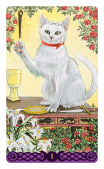 Carica l&#39;immagine nel visualizzatore di Gallery, Mini Pagan Cats Tarot
