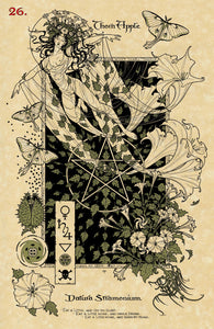 The Magickal Botanical Oracle